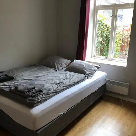 Central And Comfortable Apartment * Oslo